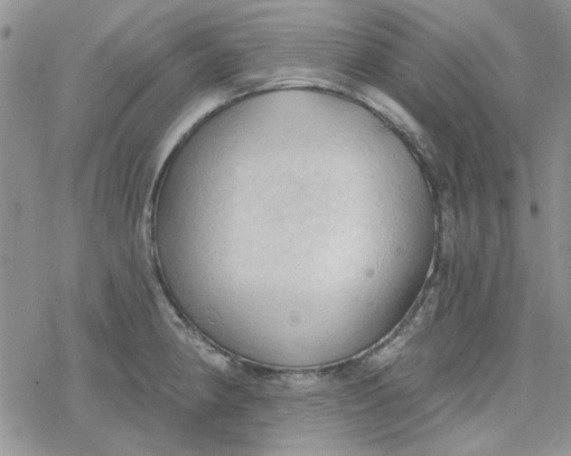 X0000078231190200611171426