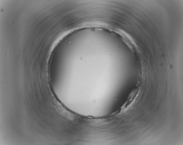 X0000078231192200611171426