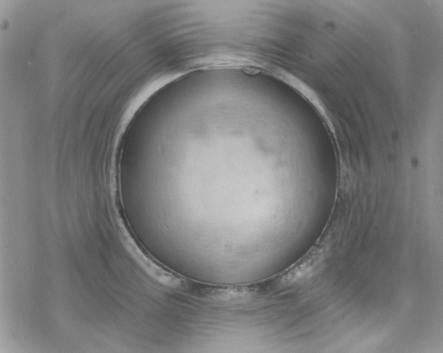 X0000078231195200611171426