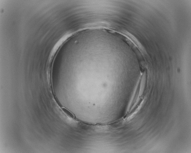 X0000078231196200611171426