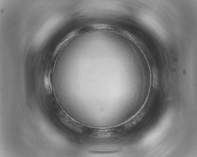 X0000078231198200611171426