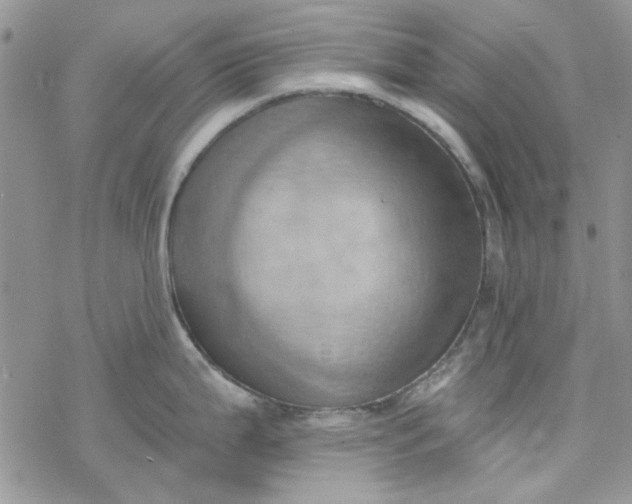 X0000078231199200611171426