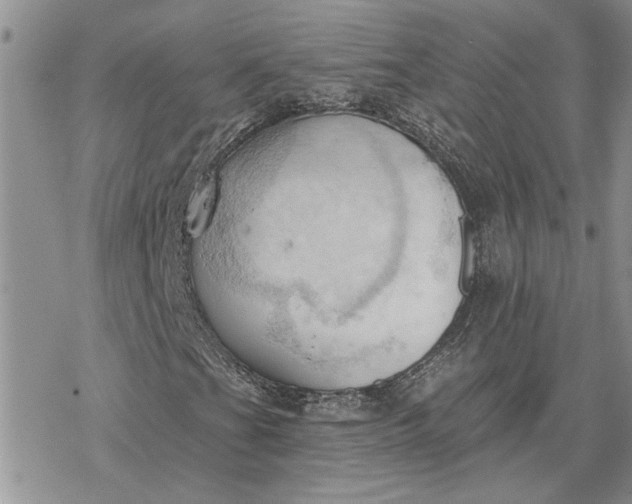 X0000078231201200611171425