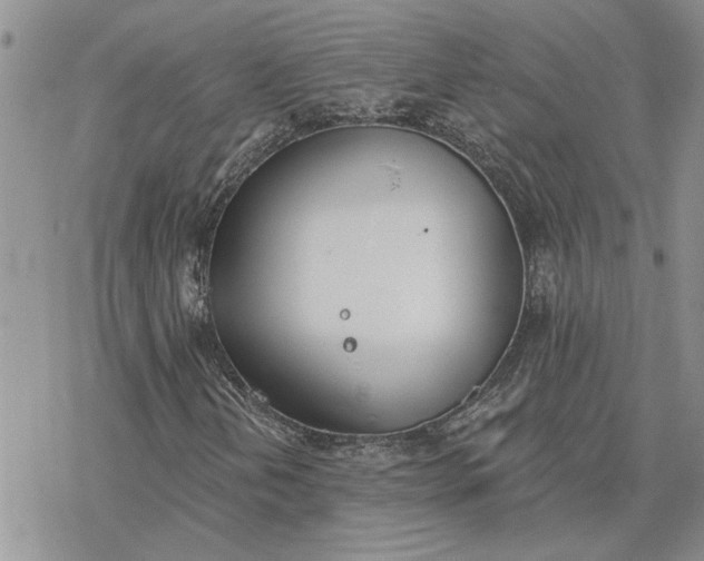 X0000078231202200611171425