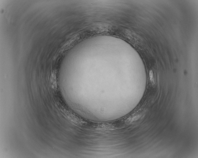 X0000078231203200611171425