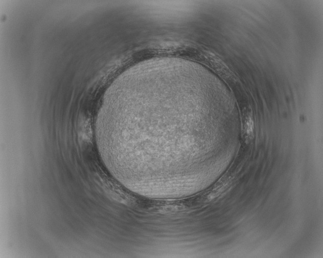 X0000078231204200611171425