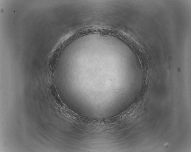 X0000078231207200611171425