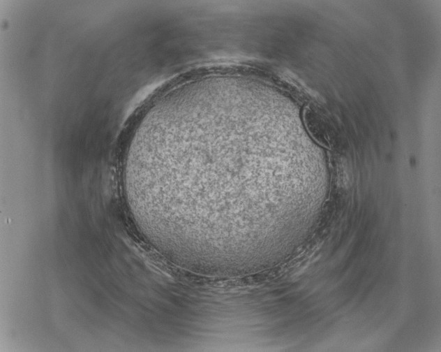 X0000078231208200611171425