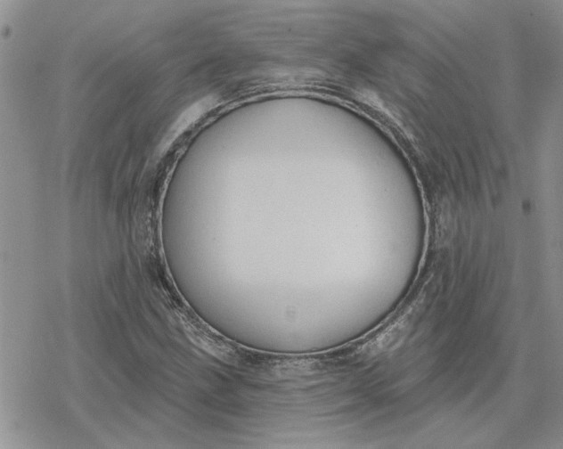 X0000078231211200611171425