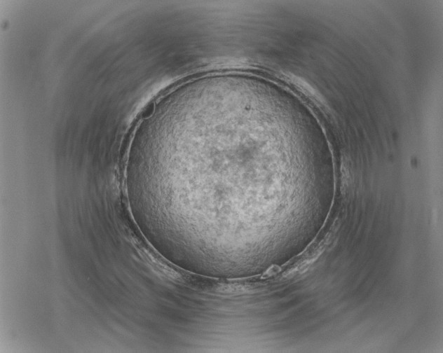 X0000078231212200611171425