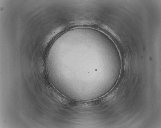 X0000078231213200611171425