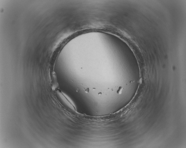 X0000078231214200611171425