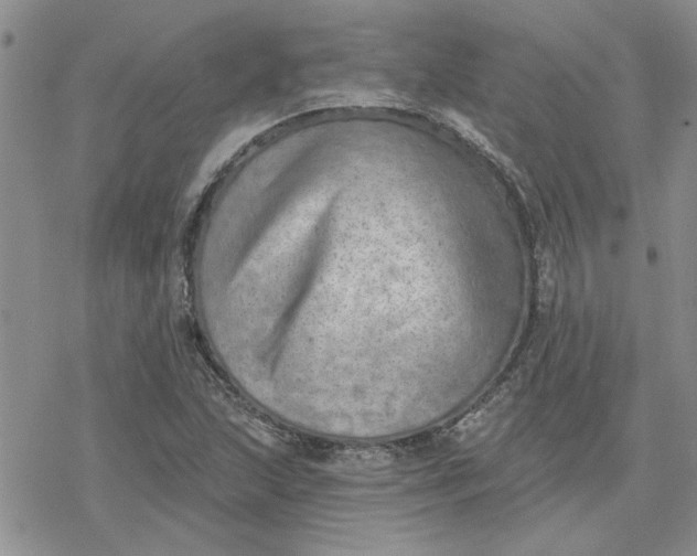 X0000078231215200611171425