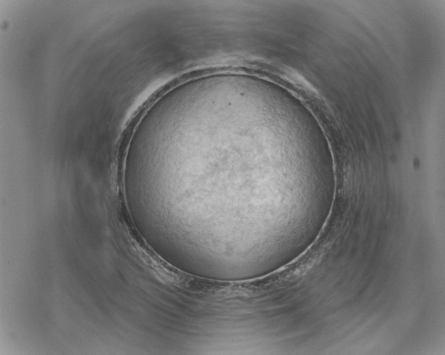 X0000078231216200611171425