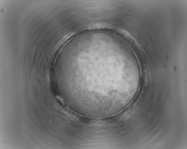 X0000078231217200611171425