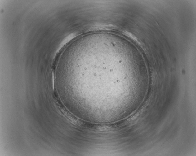 X0000078231219200611171425