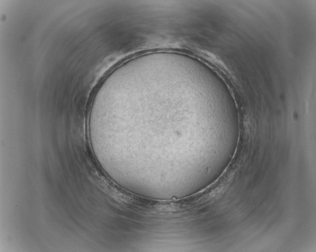 X0000078231220200611171425