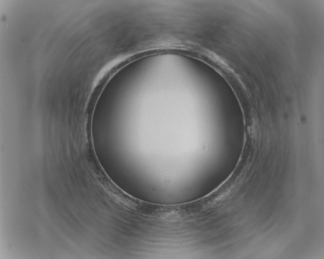 X0000078231222200611171425