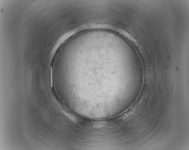 X0000078231223200611171425