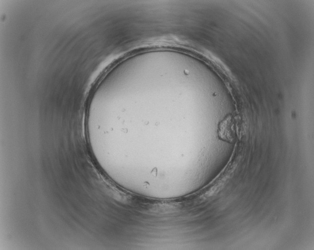 X0000078231224200611171425