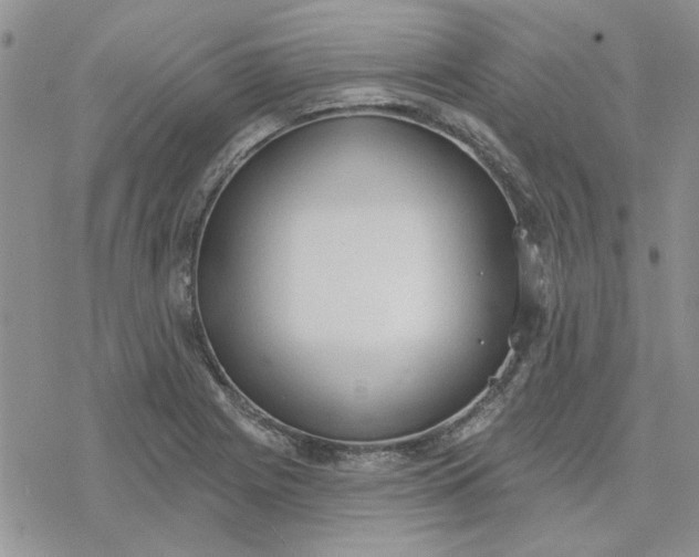 X0000078231225200611171425