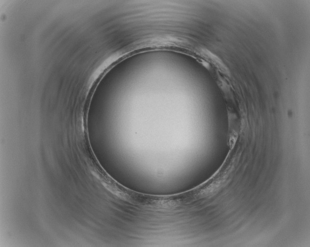 X0000078231226200611171425