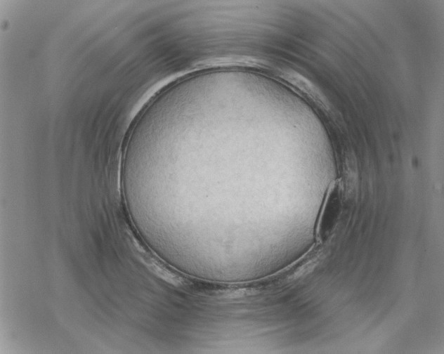 X0000078231228200611171425