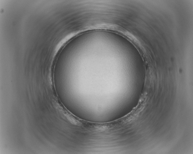 X0000078231230200611171425