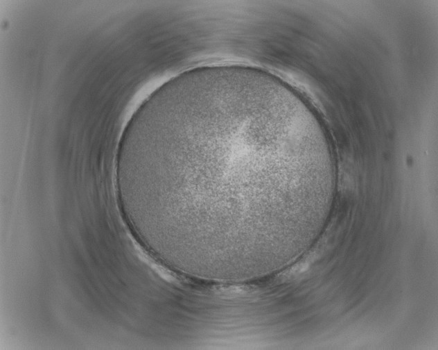 X0000078231231200611171425