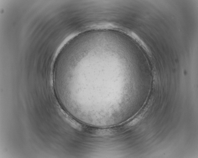 X0000078231232200611171425