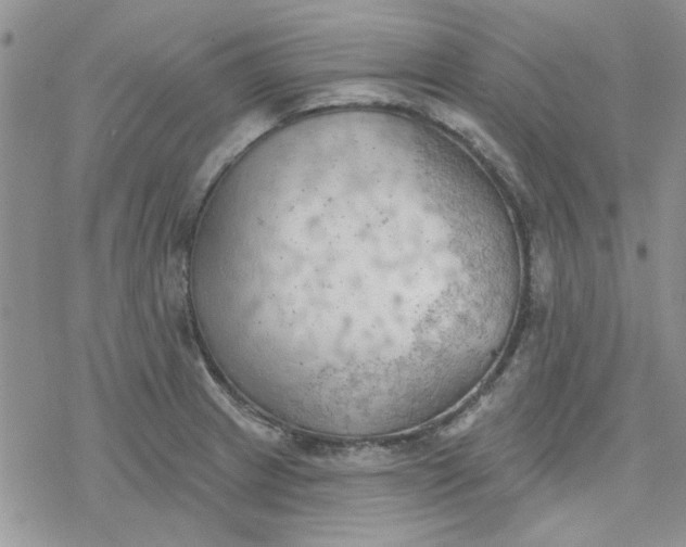 X0000078231233200611171425