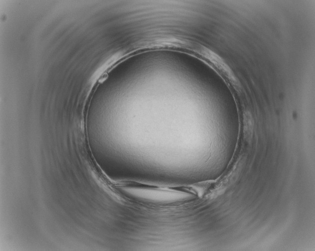 X0000078231234200611171425