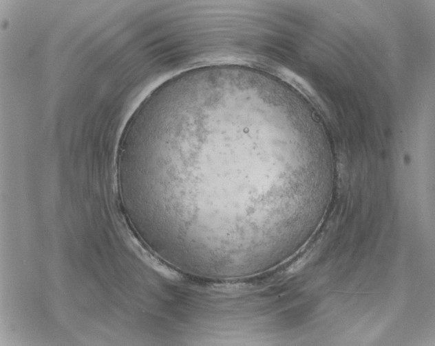 X0000078231236200611171425