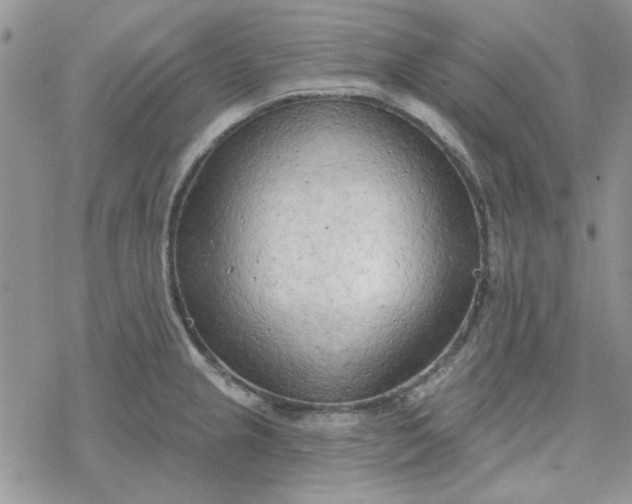 X0000078231237200611171425