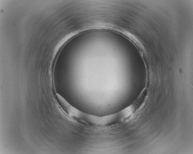 X0000078231238200611171425