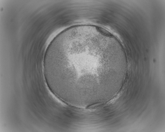 X0000078231239200611171426