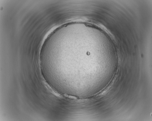 X0000078231240200611171426