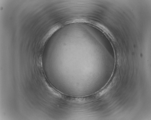 X0000078231241200611171426