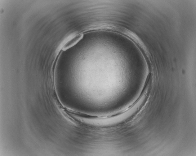 X0000078231242200611171426