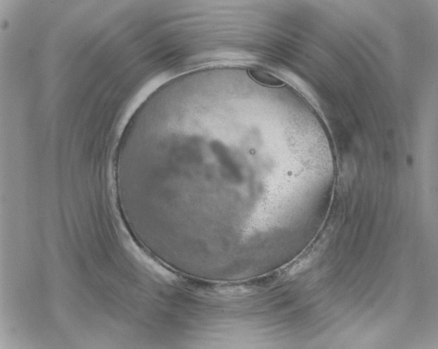 X0000078231243200611171426