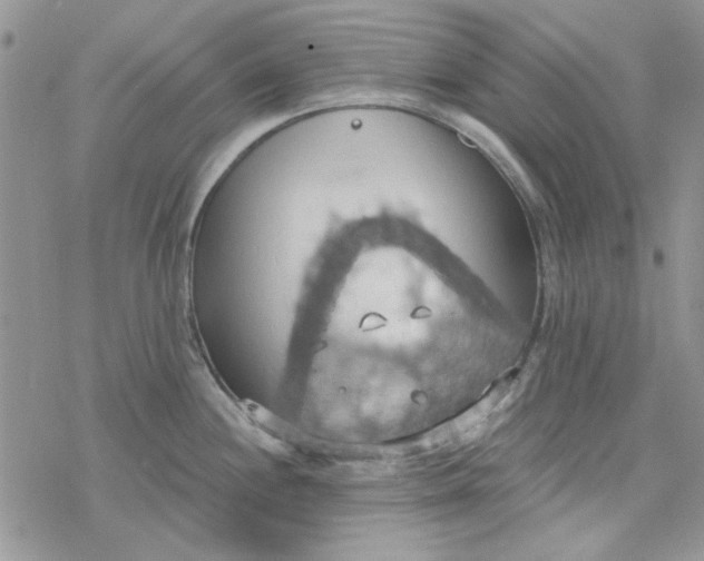 X0000078231244200611171426