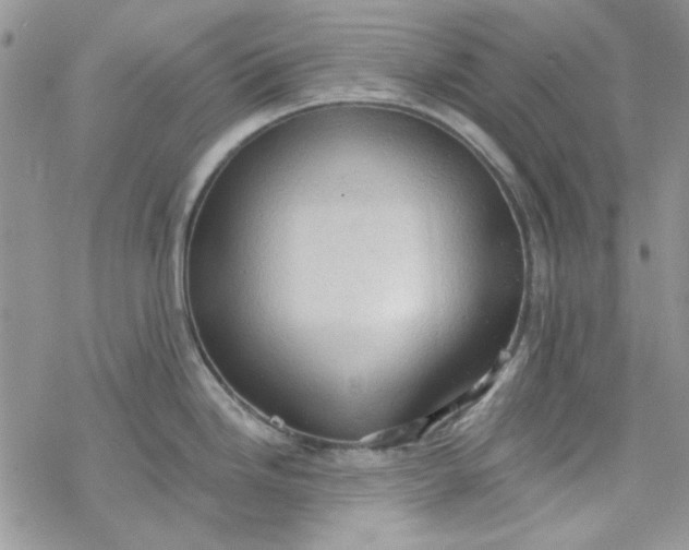 X0000078231246200611171426