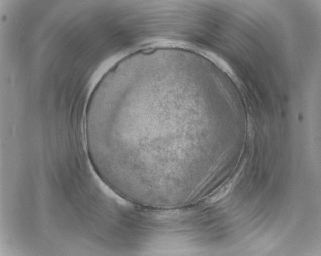 X0000078231247200611171426