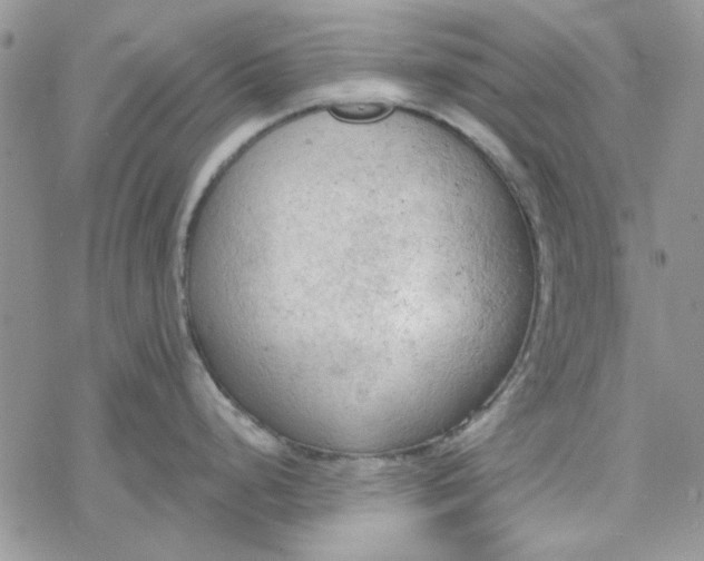 X0000078231248200611171426