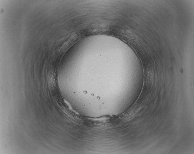 X0000078231250200611171425