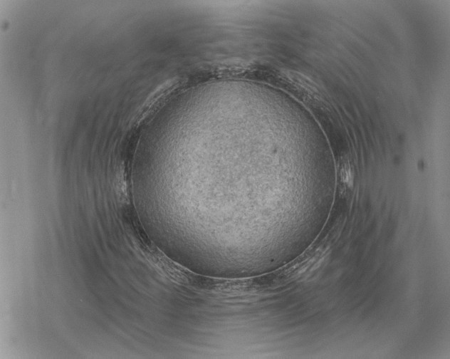 X0000078231252200611171425