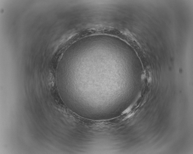 X0000078231253200611171425