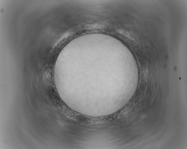 X0000078231254200611171425