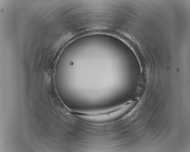 X0000078231257200611171425