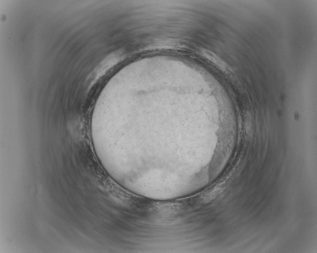 X0000078231258200611171425